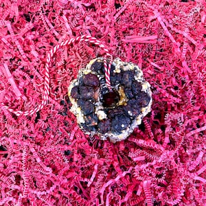 May include: A circular bird treat shaped like a wreath, composed of dark dried berries, seeds, and grains, featuring a central hole. A red and white twisted string is looped through the center for hanging, providing a contrast to the dark texture.