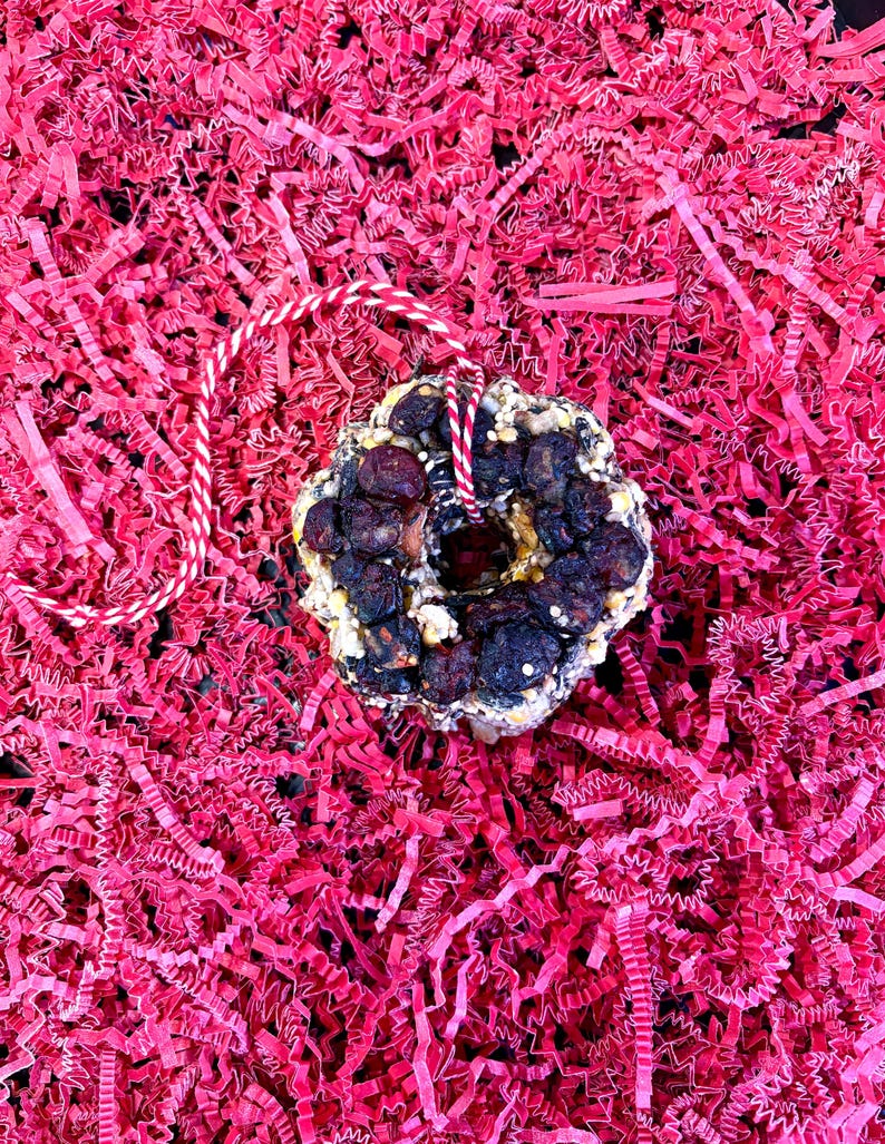 May include: A circular bird treat shaped like a wreath, composed of dark dried berries, seeds, and grains, featuring a central hole. A red and white twisted string is looped through the center for hanging, providing a contrast to the dark texture.