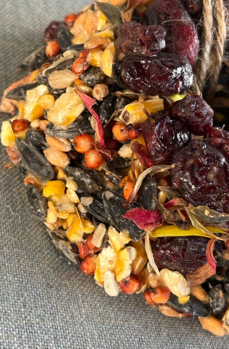 May include: A bird treat shaped like a heart, composed of a dense mixture of black sunflower seeds, cracked corn, dried orange berries, and dark red dried cranberries, held together with a natural twine loop at the top for hanging.