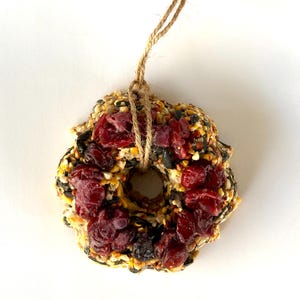 May include: A circular bird feeder wreath made of a dense mixture of seeds, grains, and dried red cranberries. The wreath features a central hole and is suspended by a looped piece of natural brown jute twine tied at the top for hanging.