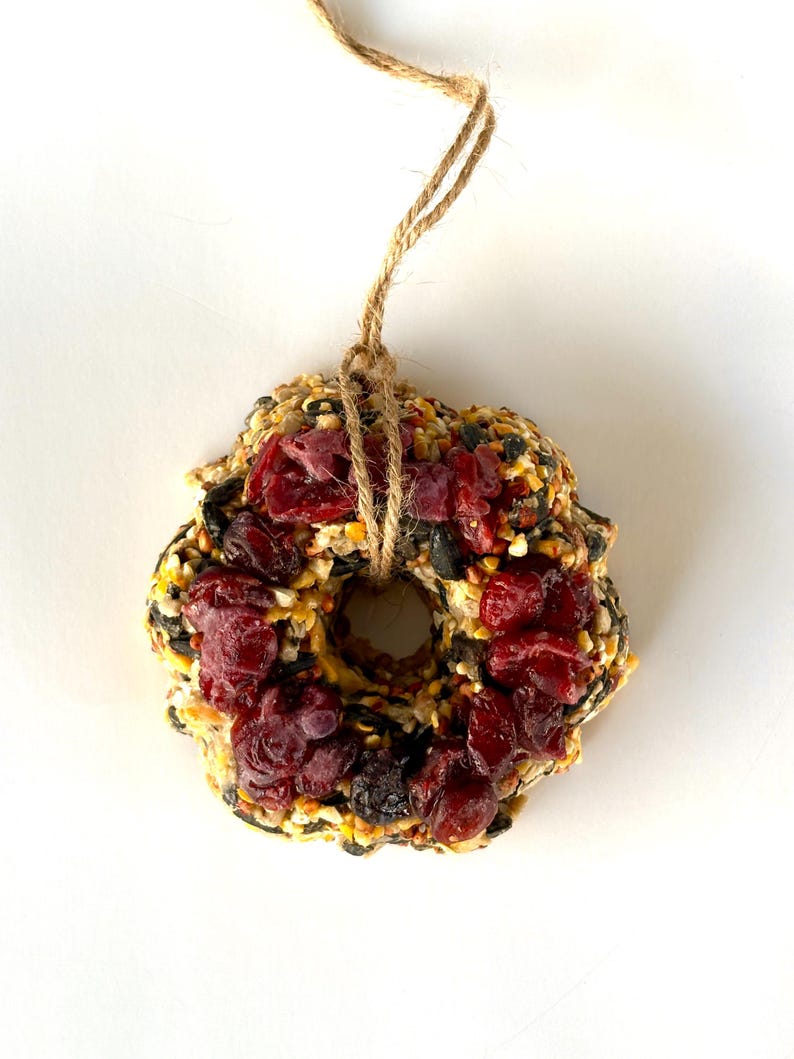 May include: A circular bird feeder wreath made of a dense mixture of seeds, grains, and dried red cranberries. The wreath features a central hole and is suspended by a looped piece of natural brown jute twine tied at the top for hanging.