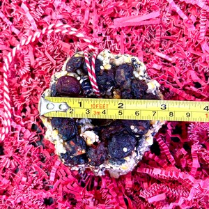 May include: A circular bird seed wreath composed of dark dried berries, seeds, and grains, featuring a red and white striped hanging string. A yellow measuring tape placed across the center shows a diameter of approximately 3.5 inches.