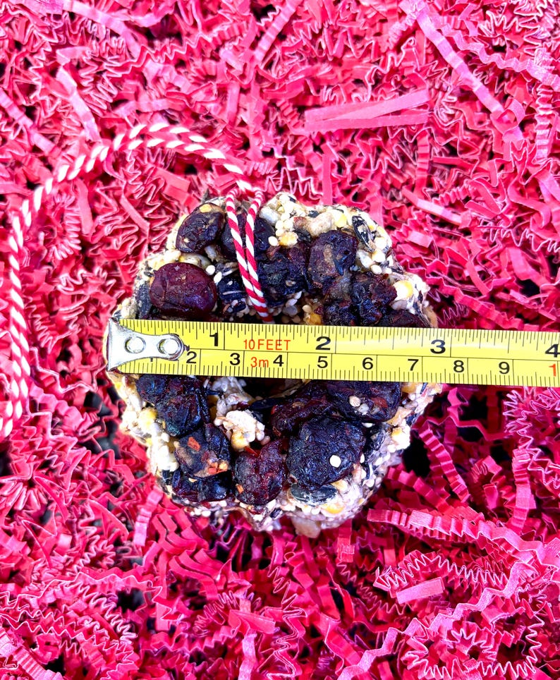May include: A circular bird seed wreath composed of dark dried berries, seeds, and grains, featuring a red and white striped hanging string. A yellow measuring tape placed across the center shows a diameter of approximately 3.5 inches.