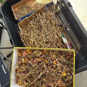 May include: A large black plastic bin containing two cardboard boxes filled with dried plant matter. One box holds a dense collection of thin, brown, dried flower stems, while the other box contains a mix of dried flower heads in yellow, pink, and brown.