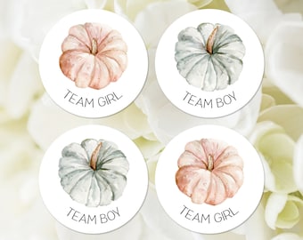 Pumpkin Gender Reveal Party Stickers, Printable, Team Girl, Team Boy, Boy or Girl Team Labels, Fall Gender Reveal Party Game 450