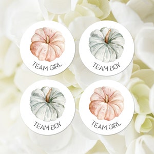 Pumpkin Gender Reveal Party Stickers, Printable, Team Girl, Team Boy, Boy or Girl Team Labels, Fall Gender Reveal Party Game 450