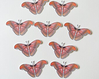 Moth Temporary Tattoo