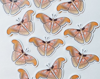 Moth Sticker