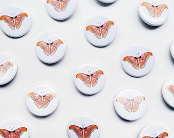 Moth Button Pin