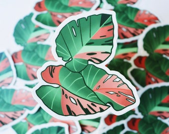 Three Leaf Sticker