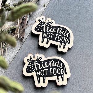 Friends not food magnets/pins