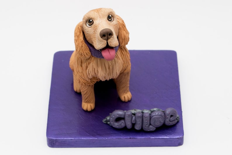 dog toothpaste chew toy