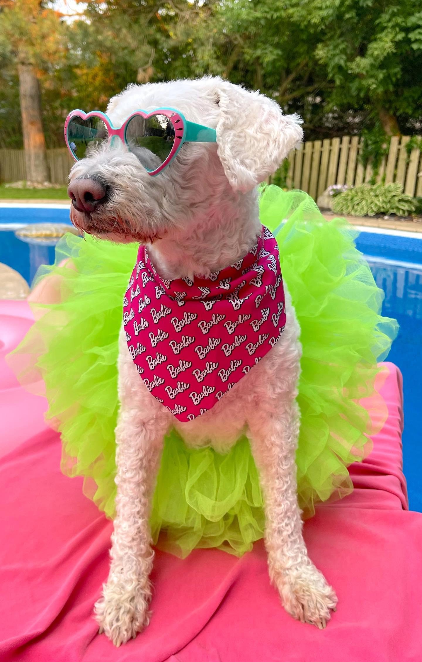 Barbie dog costume shop