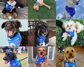 Toronto Blu Jays Baseball Doggy Bandanna by Jumping Jake Dog Co.