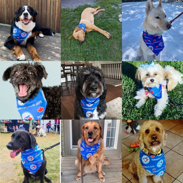 Toronto Blu Jays Baseball Doggy Bandanna by Jumping Jake Dog Co.