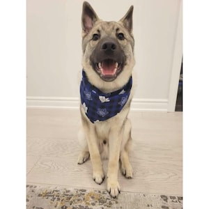 Blue Plaid TML Toronto Maple Leaf Doggy Bandanna - Blue Buffalo Plaid Print