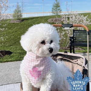 TML Maple Leaf Hockey Pink Plaid Bandanna by Jumping Jake Dog Co.