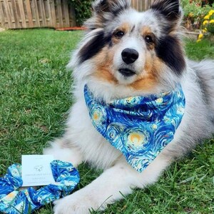May include: A white and brown dog wearing a blue and yellow bandana with a starry night design. The dog is sitting on green grass. A blue and yellow scrunchie with a starry night design is in the foreground.