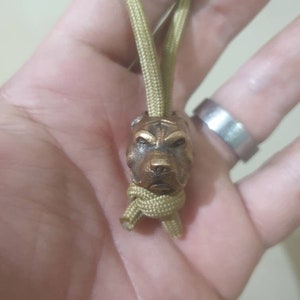 Pitbull Perle