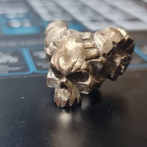 May include: A detailed, silver-toned skull ring with horns. The skull is intricately carved with a textured surface.