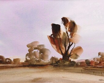 PAISAJE OTOÑAL, Hagley, Worcestershire.