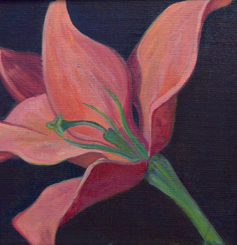 Original Acrylic Painting of a Flower on Canvas