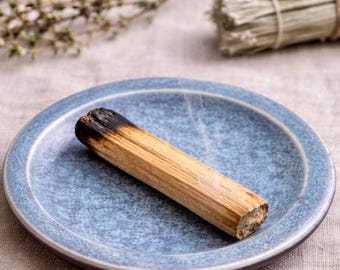 Blue Speckled Ceramic Incense Dish - Minimalist Spoon Rest