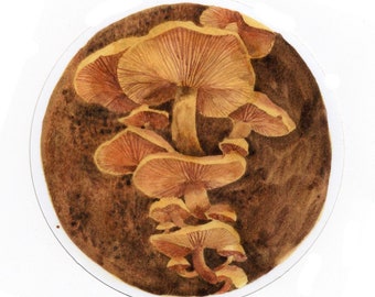 Mushroom Sticker