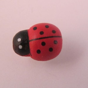 May include: A red ladybug with black spots and a black head with white eyes. The ladybug is a wooden craft.