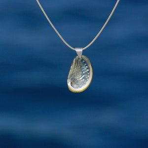 pendentif Haliotis sur chaîne inox, coquillage ormeau à nacre brillante résiste à l'eau bijou d'été inox