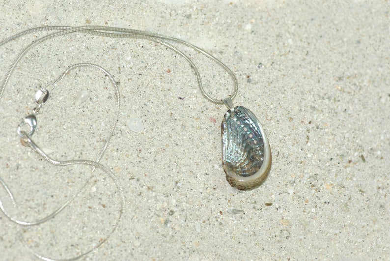 pendentif Haliotis sur chaîne inox, coquillage ormeau à nacre brillante résiste à l'eau bijou d'été image 3