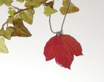 Collier court, pendentif végétal véritable, feuille d'automne rouge, chaîne inox _ pendentif feuille, bijou nature chic _ cadeau pour elle