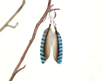 boucles d'oreilles Fly rayées bleues, plumes naturelles de geai.  Cadeau original et naturel, haute qualité