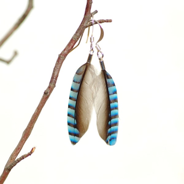 boucles d'oreilles Fly rayées bleues, plumes naturelles de geai.  Cadeau original et naturel, haute qualité