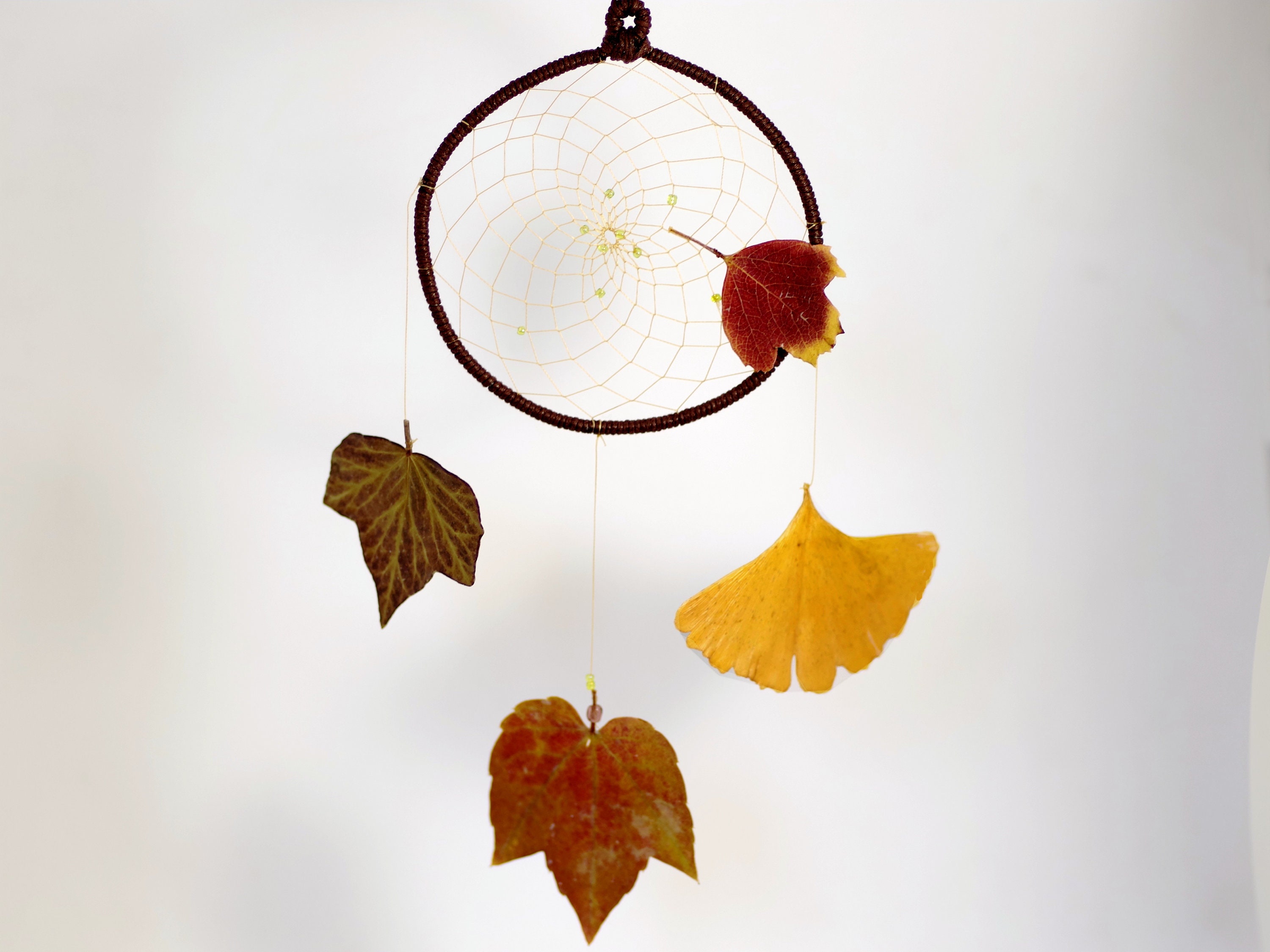 Attrape Rêves Végétal Original 20 cm_ Vraies Feuilles d'automne _ Cadeau Pour Pendaison de Crémaillè