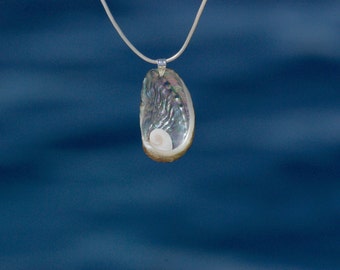 Bijou haliotis porte-bonheur ~ œil de sainte Lucie dans un pendentif coquillage ormeau de méditerranée ~ chaîne inox