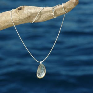 pendentif Haliotis sur chaîne inox, coquillage ormeau à nacre brillante résiste à l'eau bijou d'été image 2