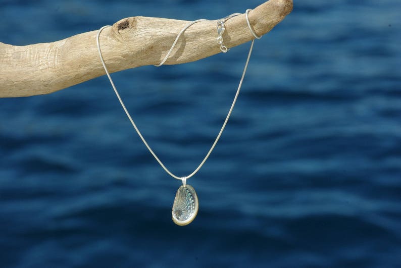pendentif Haliotis sur chaîne inox, coquillage ormeau à nacre brillante résiste à l'eau bijou d'été image 2
