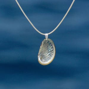 pendentif Haliotis sur chaîne inox, coquillage ormeau à nacre brillante résiste à l'eau bijou d'été argent 925