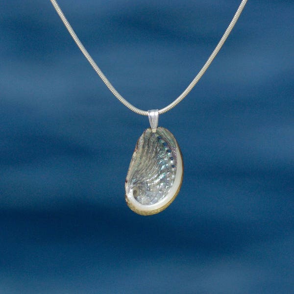 pendentif Haliotis sur chaîne inox, coquillage ormeau à nacre brillante ~ résiste à l'eau ~ bijou d'été