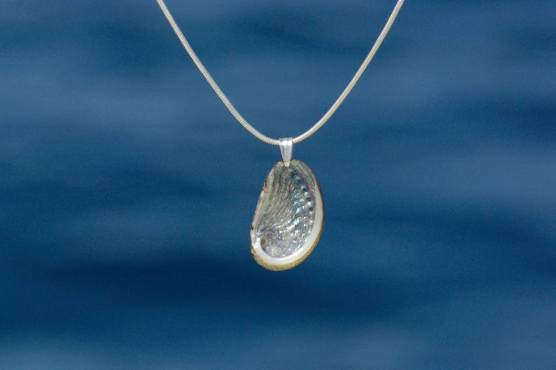 pendentif Haliotis sur chaîne inox, coquillage ormeau à nacre brillante résiste à l'eau bijou d'été argent 925