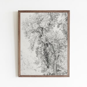 Minimalist wall art, vintage botanical sketch art, abstract print, vintage tree drawing, forest wall art, neutral prints, abstract line art