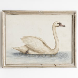 Vintage Swan Watercolor Painting: Farmhouse Nursery Art (Digital Download)