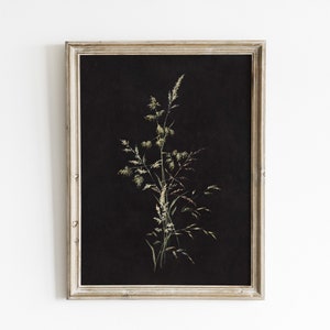Vintage Grass Print: Dark Moody Botanical Art (Digital Download)