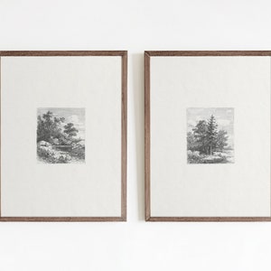 Antique Nature Sketch Print Set: Vintage Tree Etching (Digital Download)