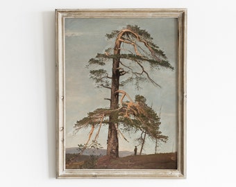 Tree painting, vintage forest landscape print, nature painting, botanical art, pine tree print, antique landscape scene painting, tree art
