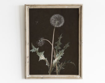 Vintage Dandelion Print: Antique Botanical Farmhouse Art (Digital Download)