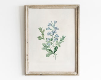 Vintage Sweet Pea Botanical Print: Blue Floral Cottage Decor (Digital Download)