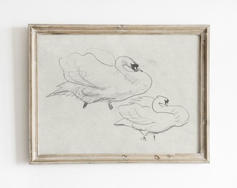 Vintage swan print | antique swan drawing | printable sketch art