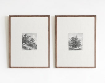Antique Nature Sketch Print Set: Vintage Tree Etching (Digital Download)